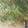 Original Oil on Canvas Image 5