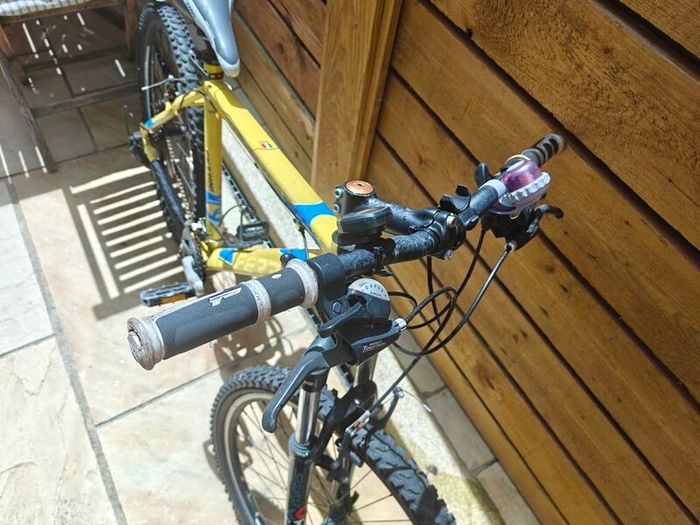 Ferrini mountain bike