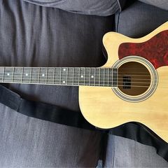 Electro-Acoustic Guitar + Amp new