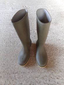 Wellies