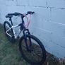 Apollo Evade mountain bike red/blue/white Image 2