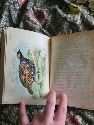 Scarce Lloyd's Natural History - 1896/7, 2 Vol. Set. Free Postage.