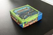 Minecraft Builders and Biomes