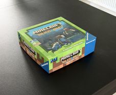 Minecraft Builders and Biomes