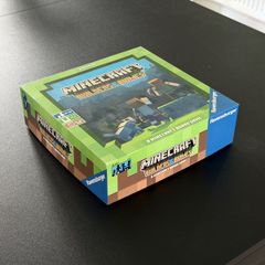 Minecraft Builders and Biomes