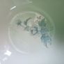 Arklow Pottery "Peonytime" Image 3
