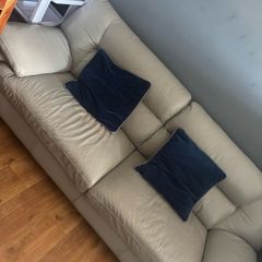 Free Couch