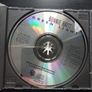 Bonnie Raitt - Green Light CD Image 2