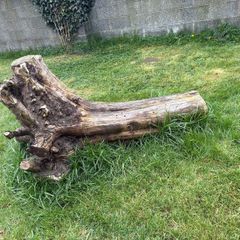 free wood