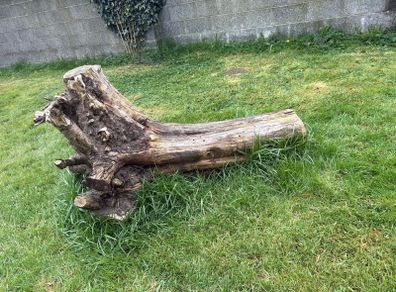 free wood