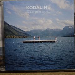 Kodaline. In A Perfect World.
