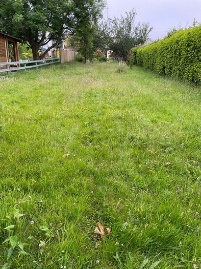 Grass Cutting & Garden Maintenance
