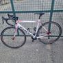 Focus Cayo Image 7