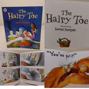 The hairy toe book by Daniel Postgate