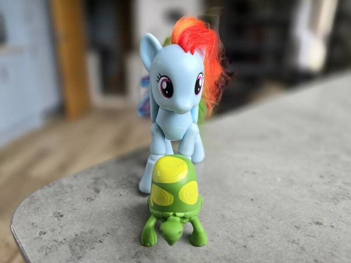 Articulated Joints Rainbow Dash with Pet Turtle Tortoise MLP G4 My Little Pony