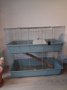guinea pig/rabbit cage