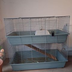 guinea pig/rabbit cage