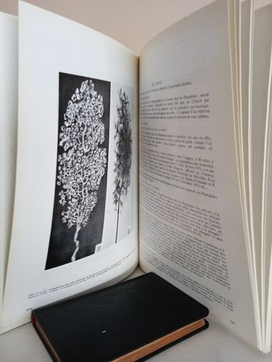Recherches, Biologiques, Contemporaines: Ouvrage dedie a la memoire du Dr Manfred Gabe (1916-1973) (RB455)