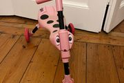 Scuttlebug