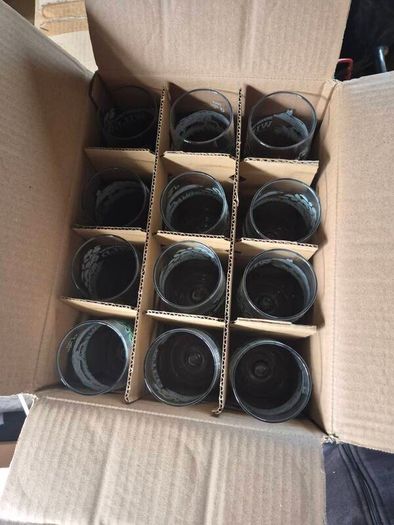 12 Orchards Thieves Wild Pt Glasses