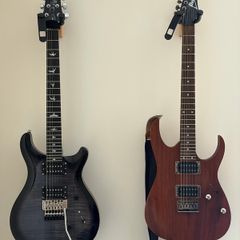 PRS Custom SE Floyd