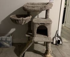 Cat Scratcher