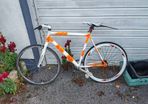 Fixie single speed bike