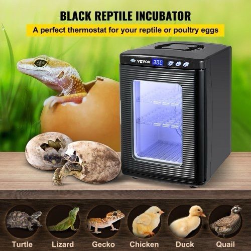 NEW SALE | 25l Reptile Herp Nursery Egg Incubator Snake Tortoise Breeding Hatch