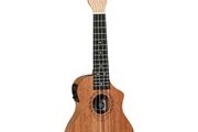 Tanglewood Ukulele Semi Acoustic