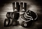 Kara RDX - Training Gloves, Mitts & Focus Pads (NEW)