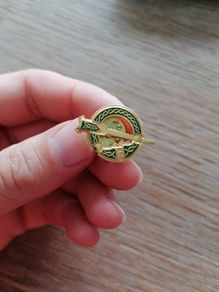 Tara brooch pin