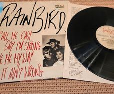 Rainbirds - Call Me Easy Say I'm Strong Love Me My Way It Ain't Wrong