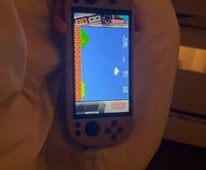 Trimui Gaming Console