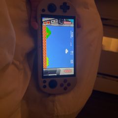 Trimui Gaming Console