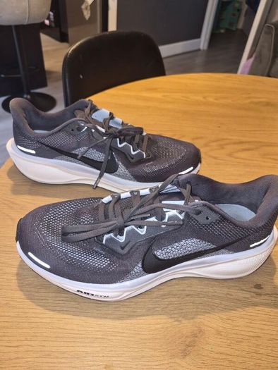 Mens Nike Pegasus Running shoes