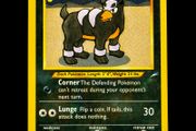 Houndour 43/105 Uncommon WOTC Neo Destiny 2002 Pokemon Card Vintage