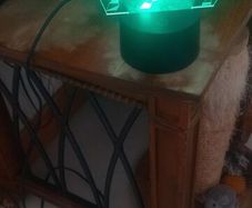 Horse light