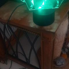 Horse light