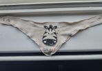 Zebra baby scarf like new