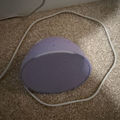 Echo