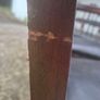 Set of 8 Dining Chairs Image 7