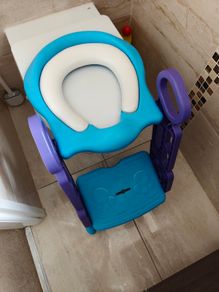 Potty training ladder