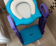 Potty training ladder