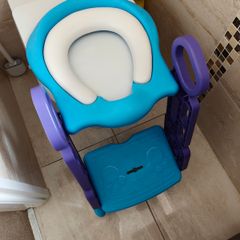 Potty training ladder