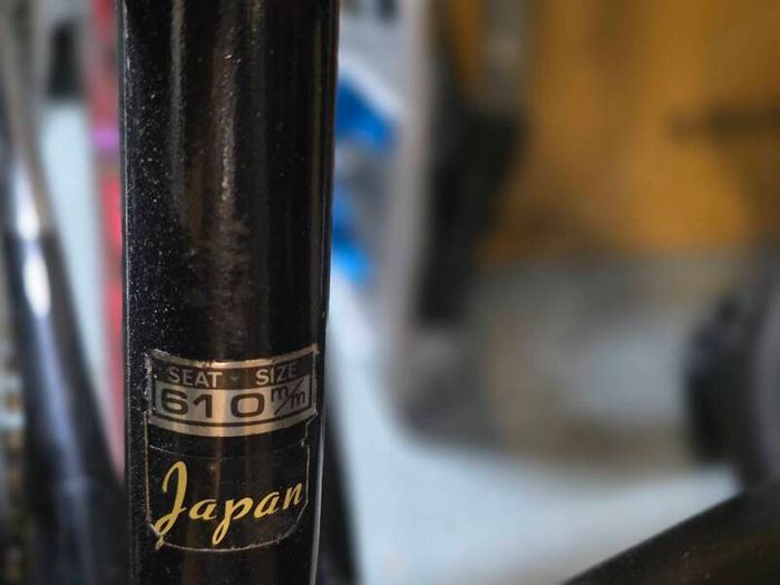 Vintage Nishiki Frame + Sealed Wheels
