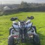 Raptor 250cc Image 5