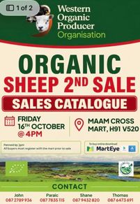 Western Organic Sheep Sale Today Friday 16th @ 4pm