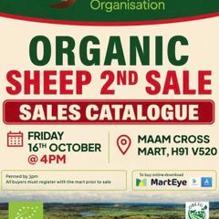 Western Organic Sheep Sale Today Friday 16th @ 4pm