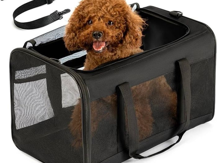 Pet carrier bag 31cm x 51cm x 31cm