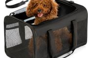 Pet carrier bag 31cm x 51cm x 31cm